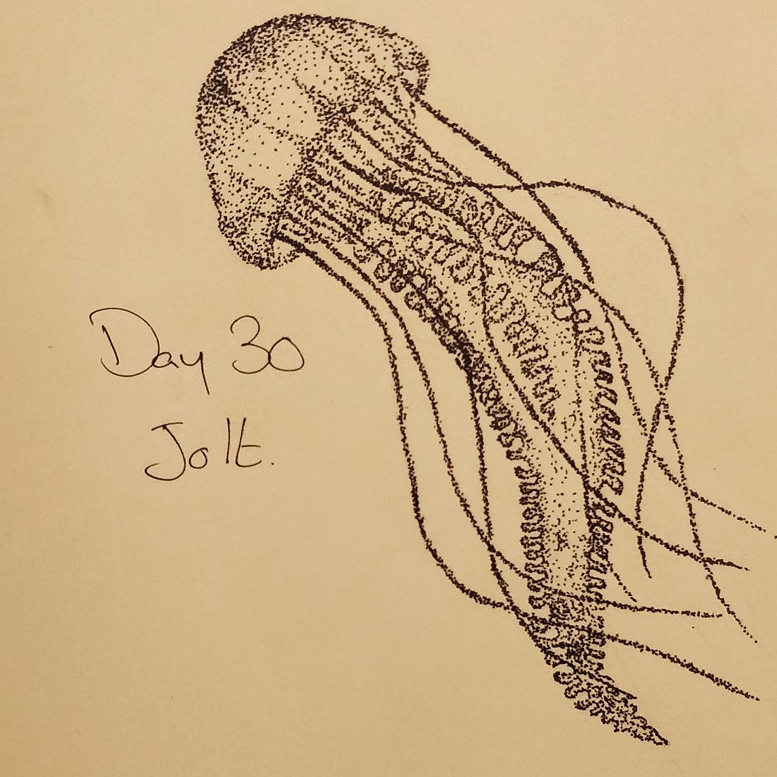 Day 30: Jolt